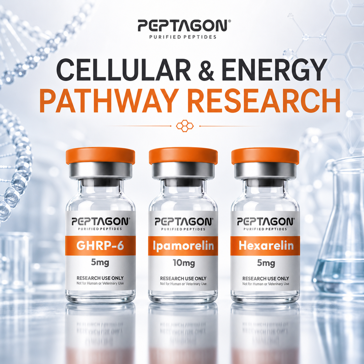 Cellular & Energy Pathway Research