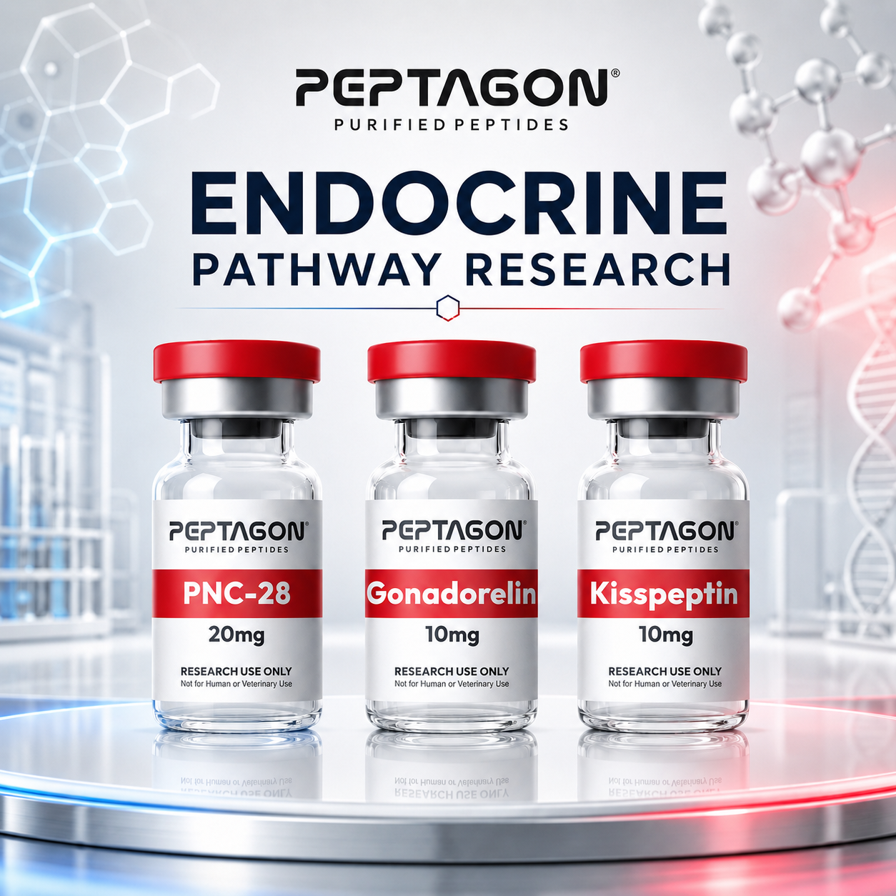Endocrine Pathway Research