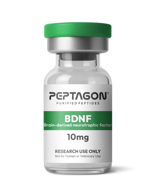 BDNF Research Protein – 10mg