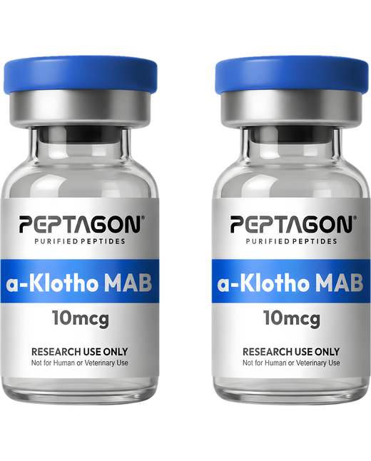 α-Klotho Monoclonal Research Antibody – 10mcg – 2 Vials